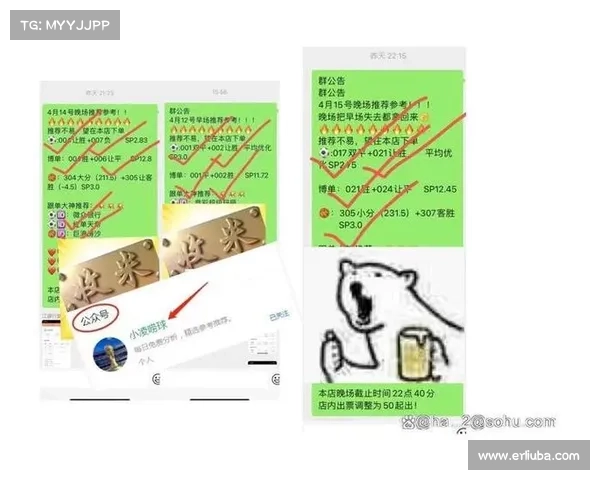 胜负彩预测技巧与策略全面解析,助你提高投注精准度与盈利水平 胜负彩预测技巧与策略全面解析,助你提高投注精准度与盈利水平